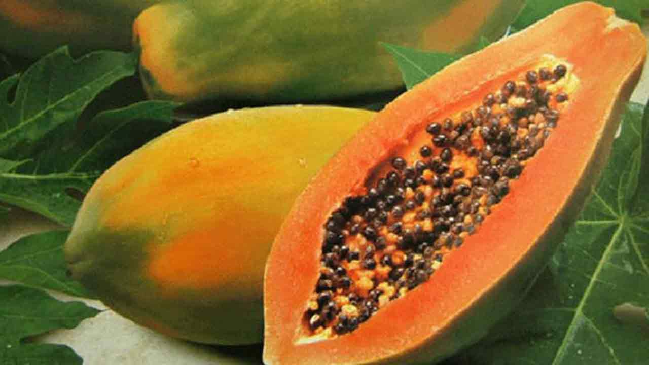 ফাইল ছবি।