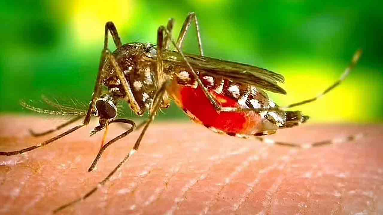 ফাইল ছবি।