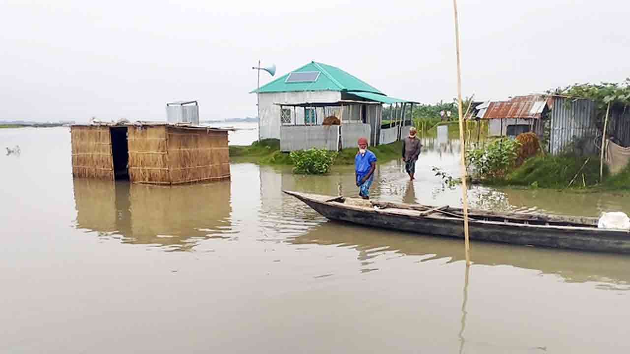 ফাইল ছবি