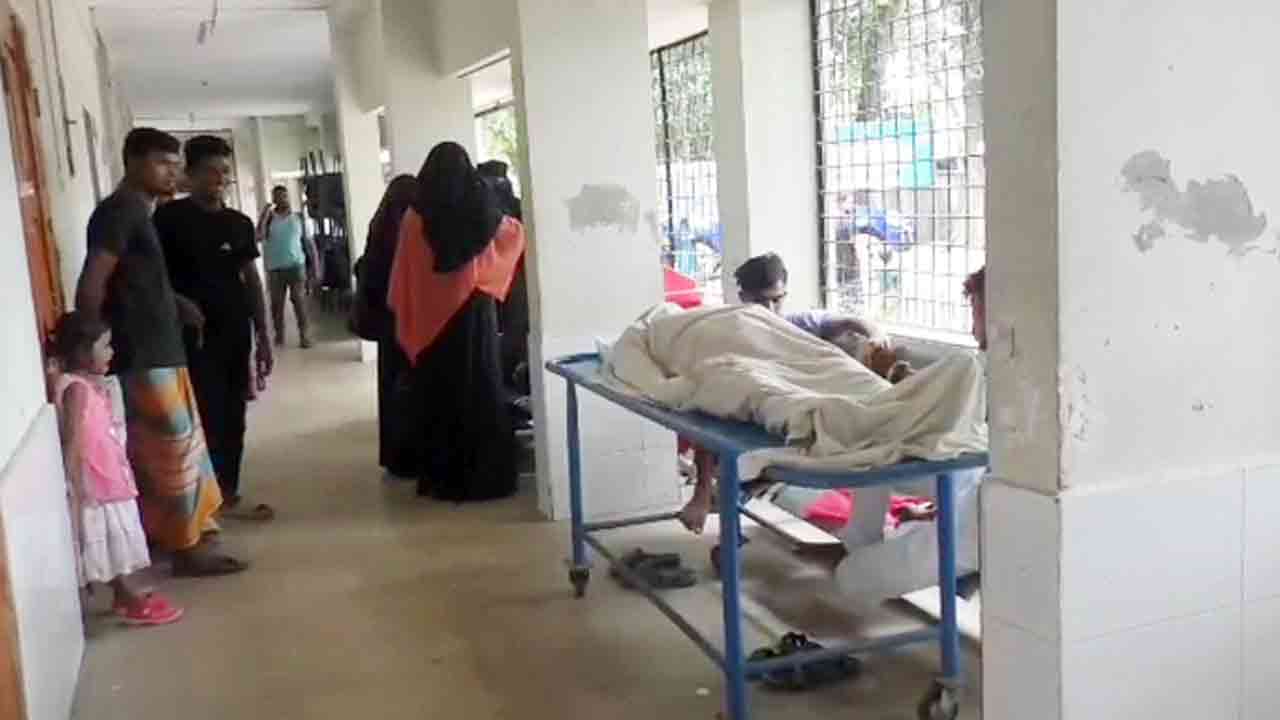 ফাইল ছবি