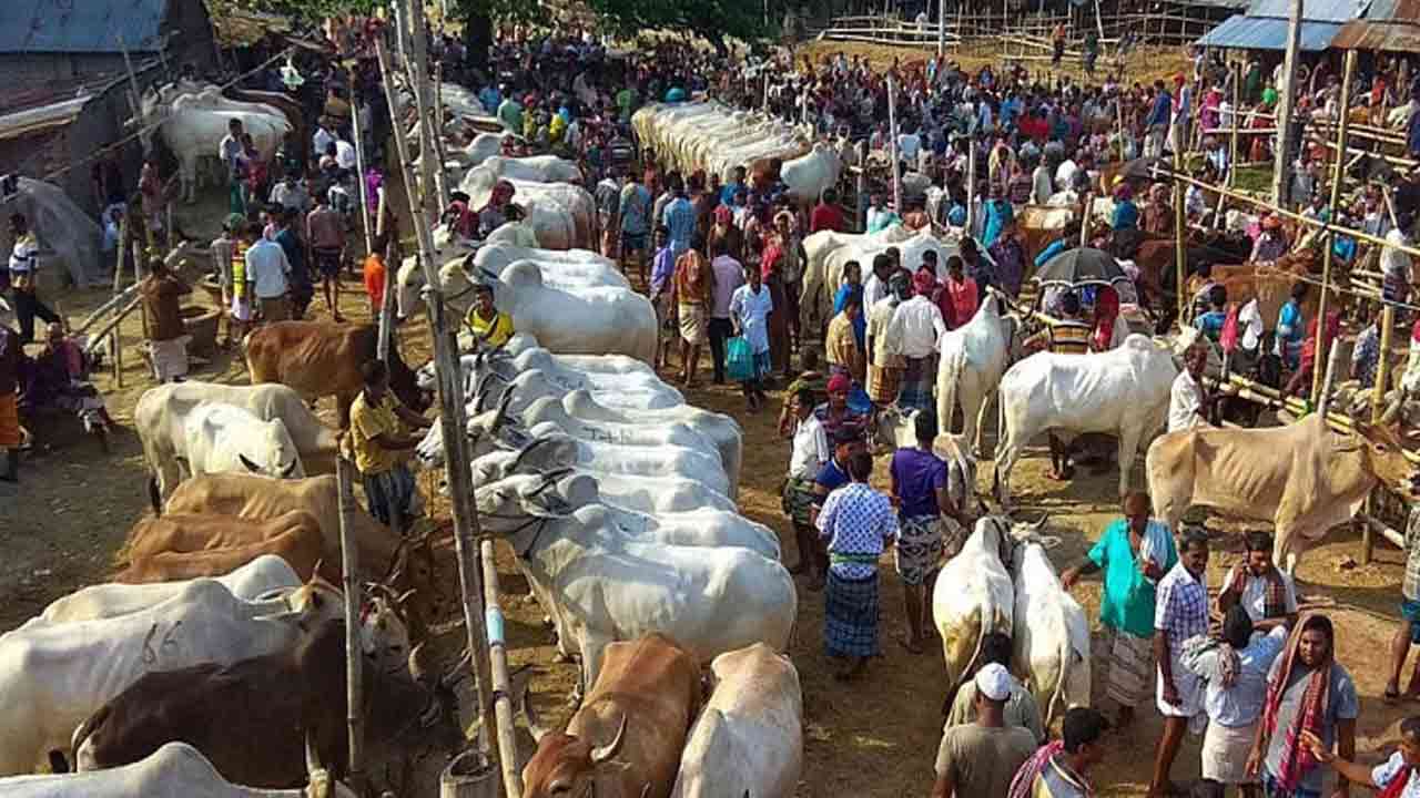 ফাইল ছবি