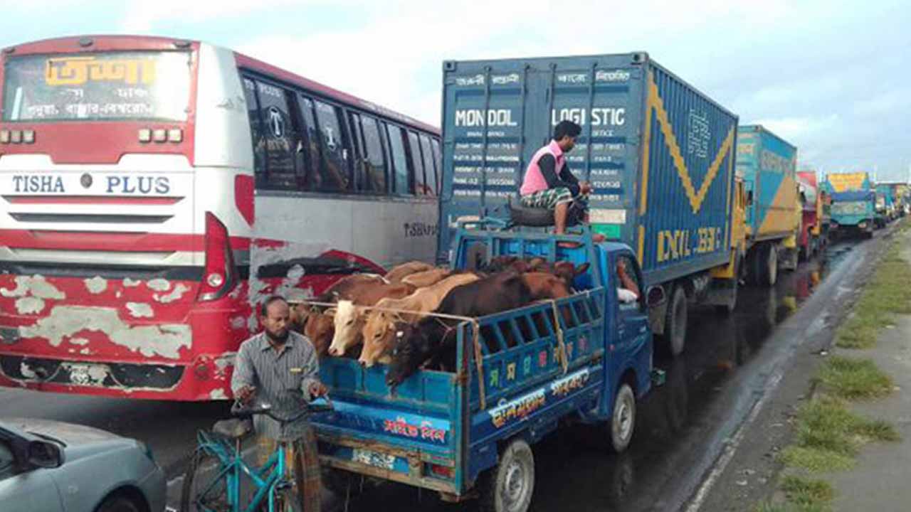 ফাইল ছবি