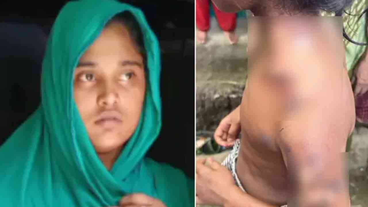 ফাইল ছবি