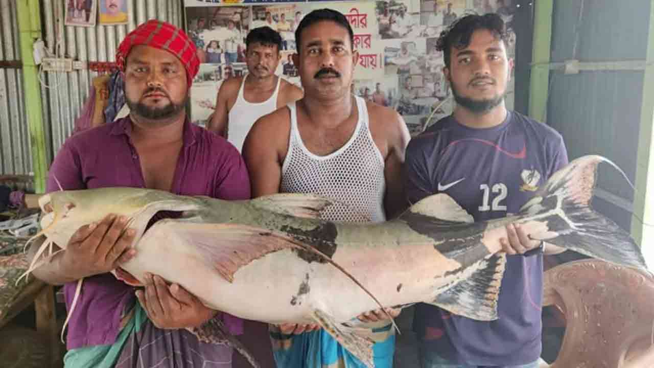 ছবি সংগৃহীত