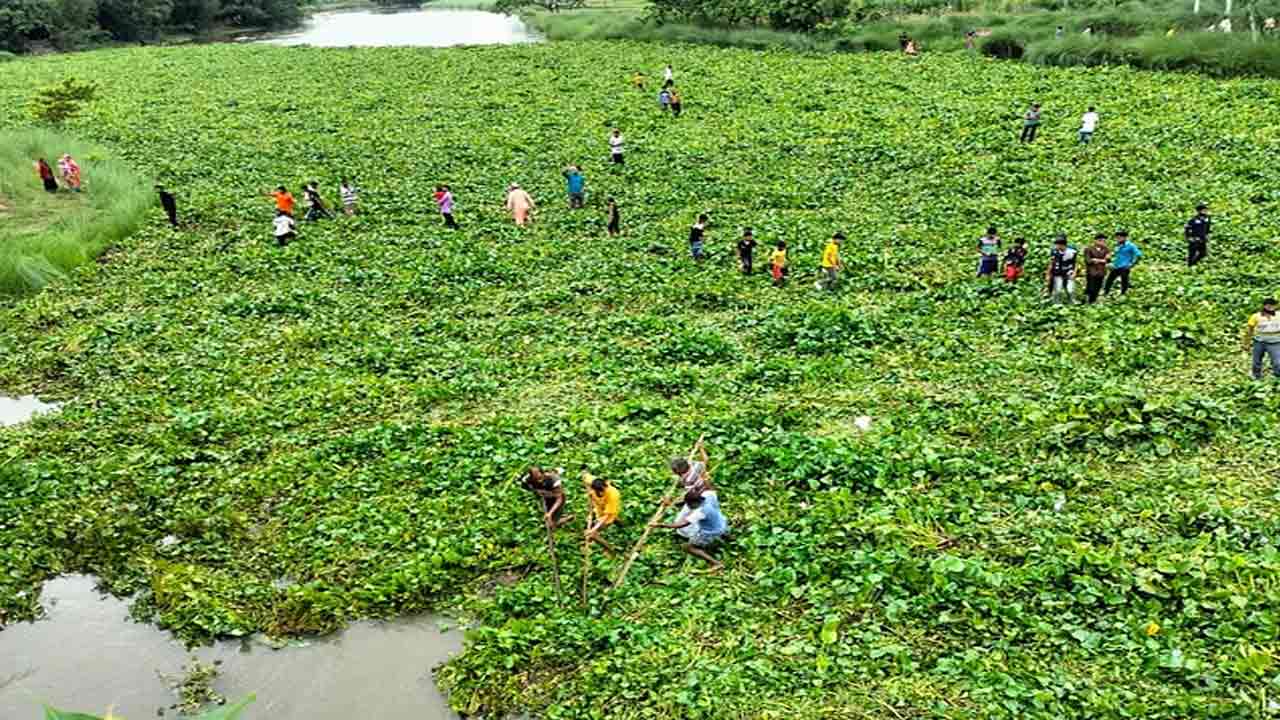 ছবি সংগৃহীত