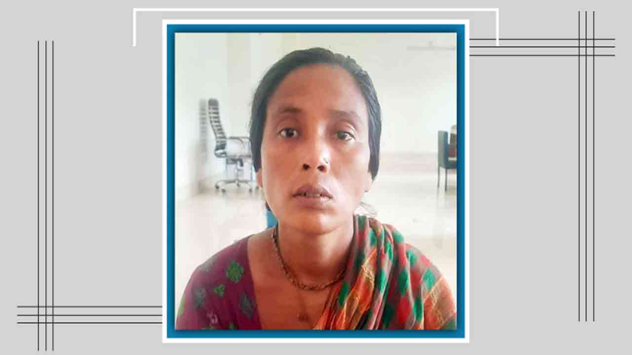 ফাইল ছবি