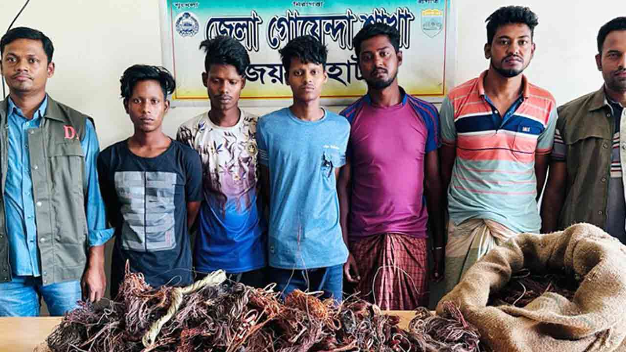 জয়পুরহাটে ট্রান্সফরমার চুরির মামলায় গ্রেপ্তার ৫