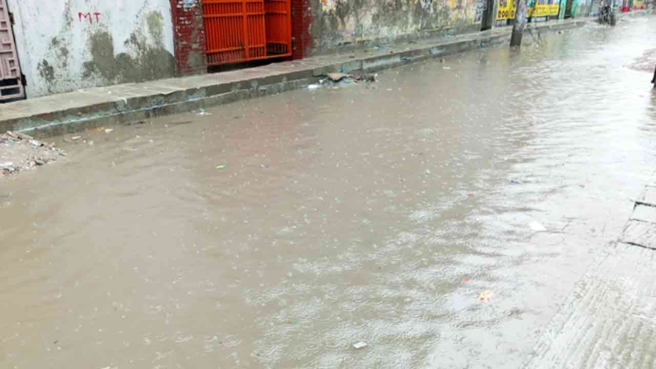 ছবি সংগৃহীত