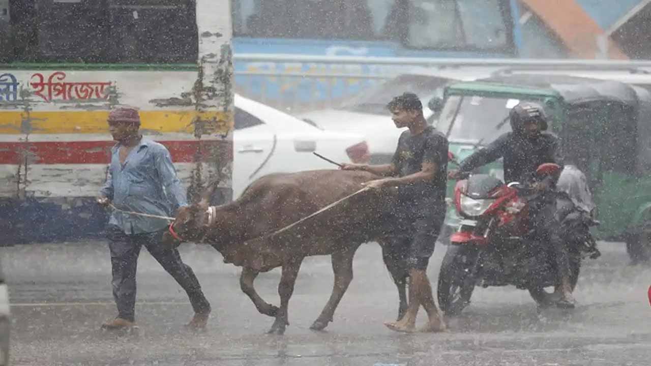 সংগৃহীত ছবি