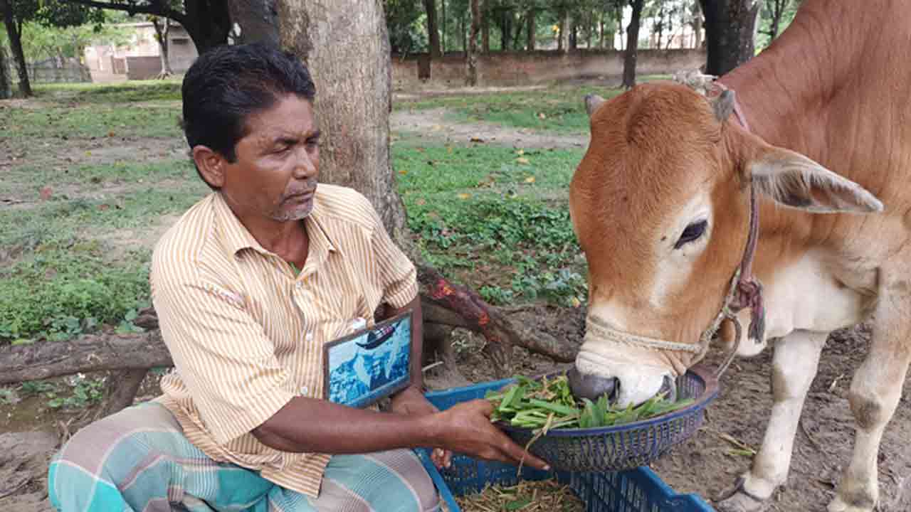 ছবি সংগৃহীত