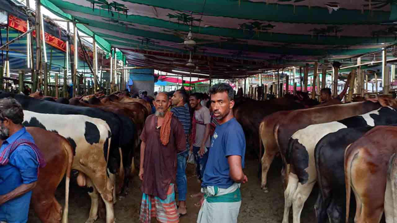 ছবি সংগৃহীত