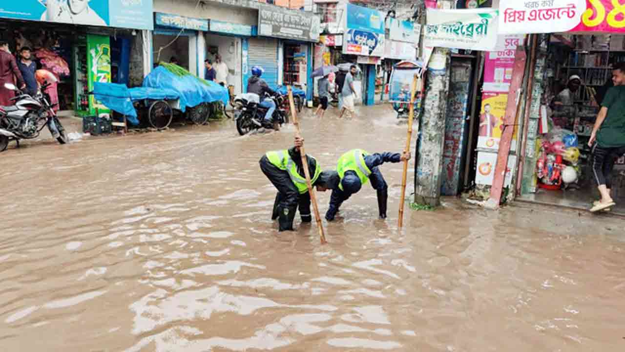 ছবি সংগৃহীত