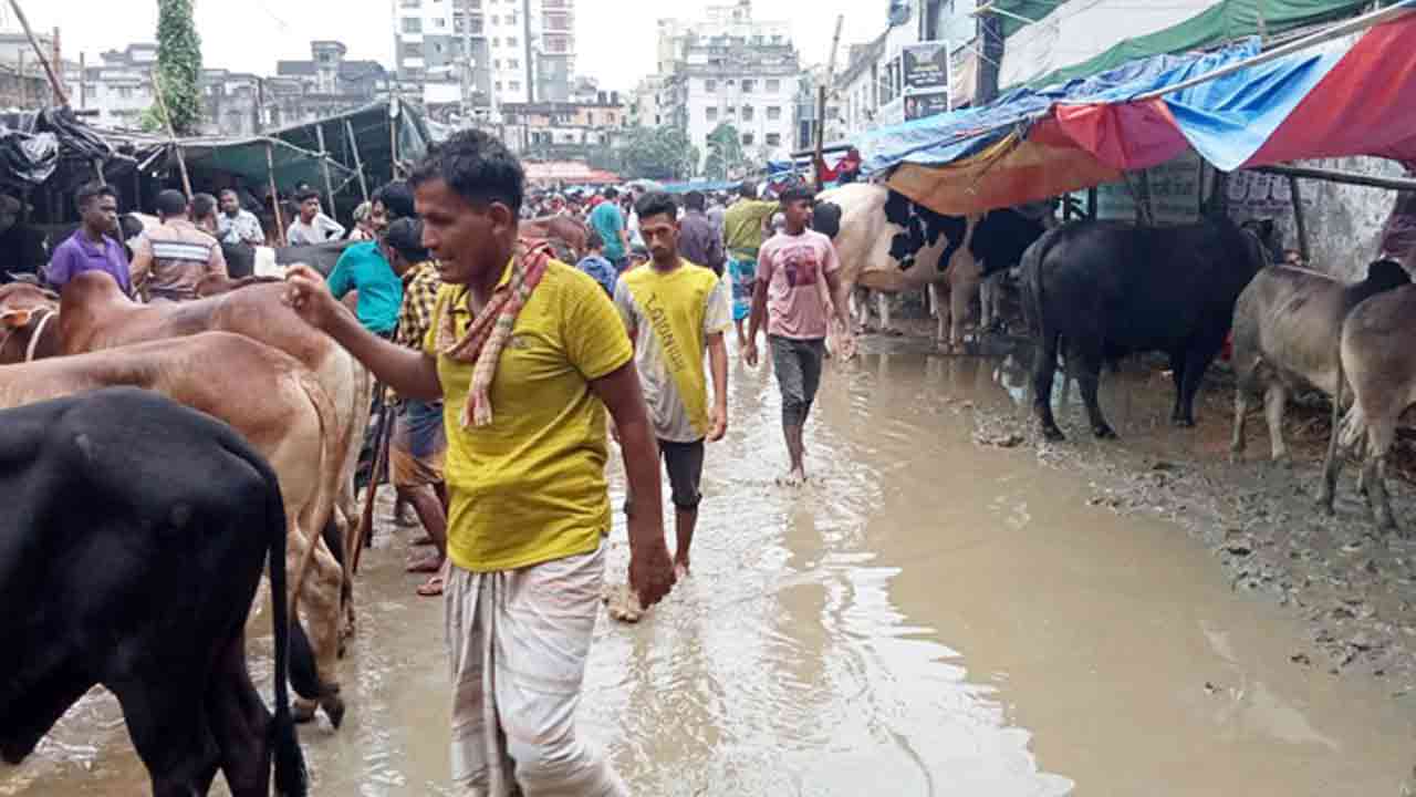 ছবি সংগৃহীত