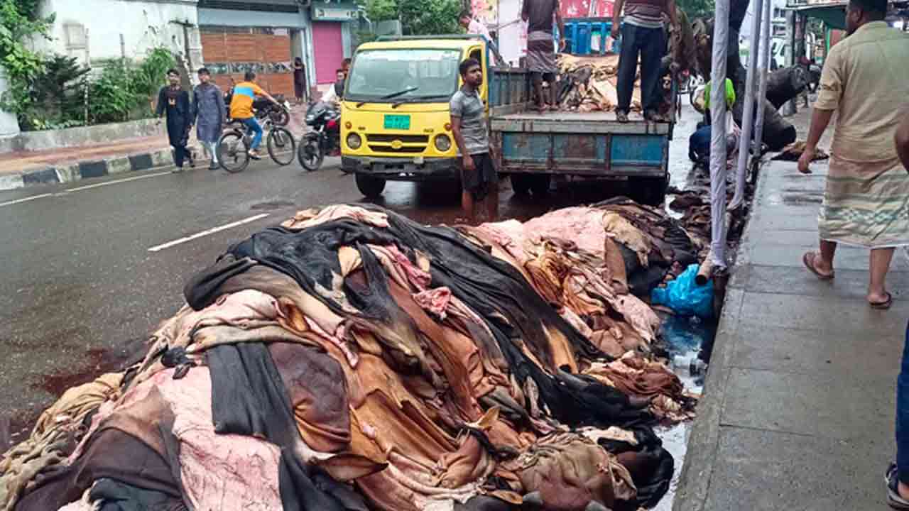 ছবি সংগৃহীত