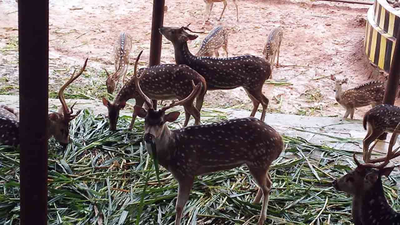 ছবি সংগৃহীত