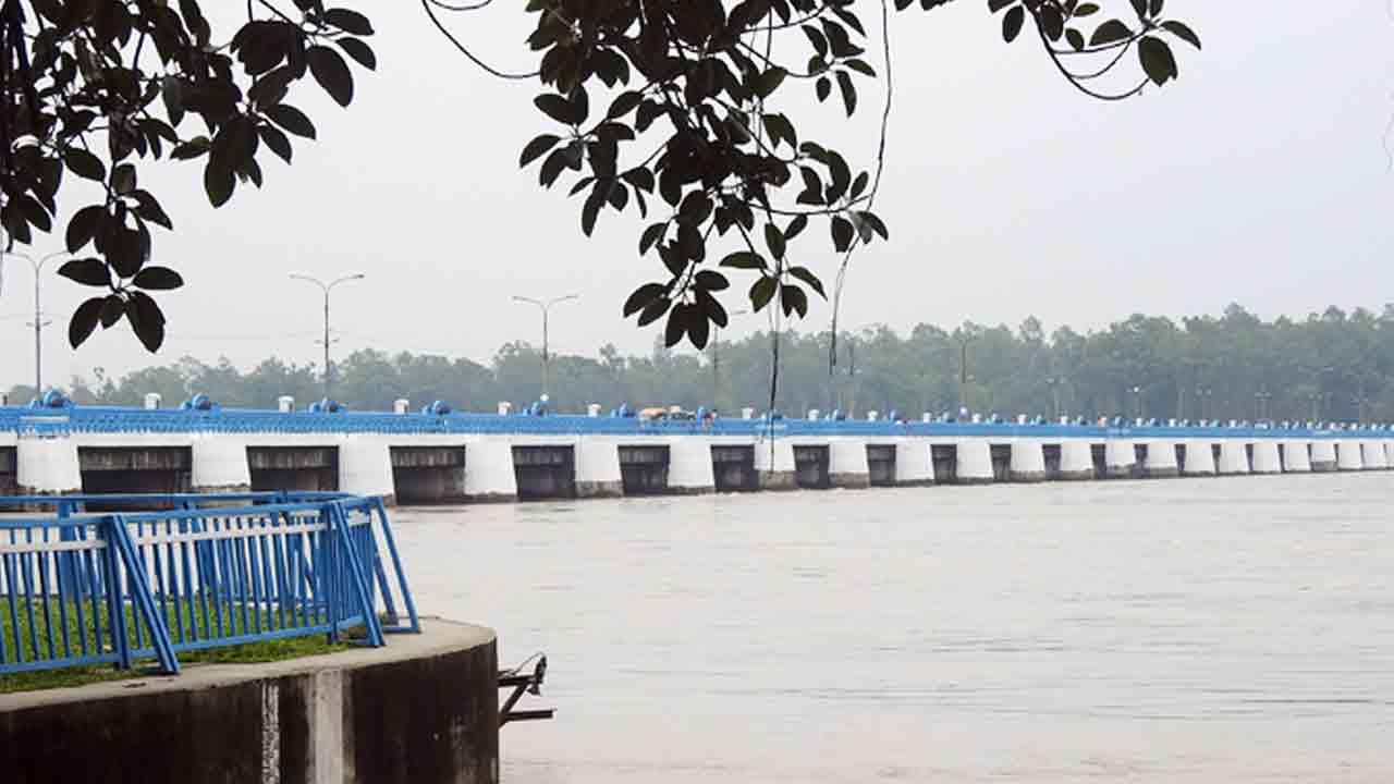 ফাইল ছবি