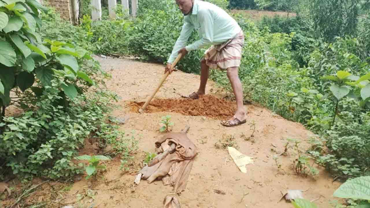 ছবি: সংগৃহীত