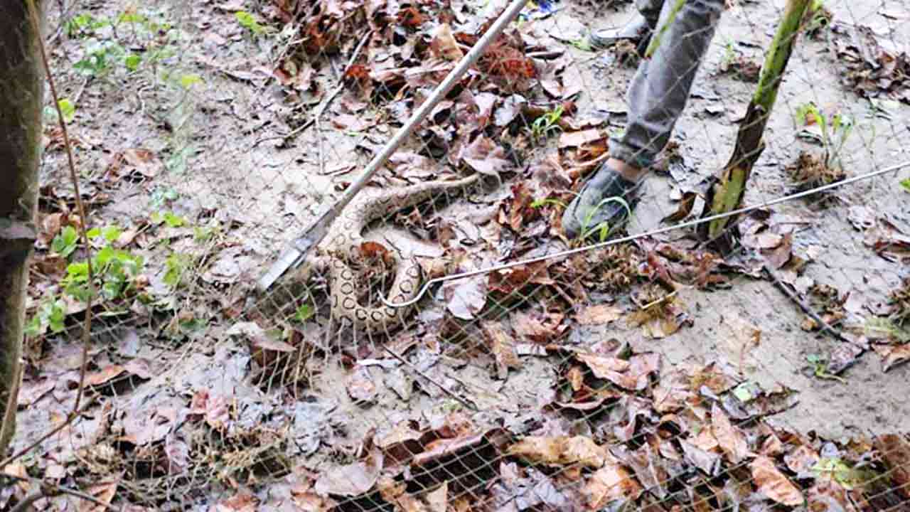 ছবি সংগৃহীত