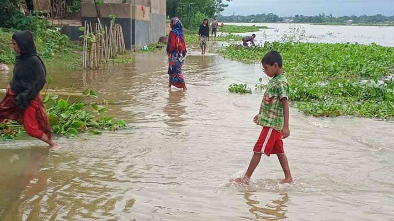 ছবি সংগৃহীত