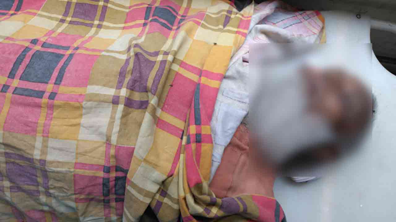 ফাইল ছবি