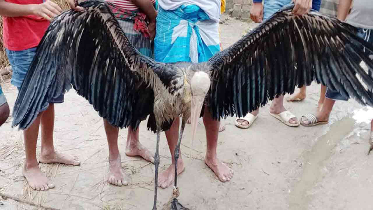 ছবি সংগৃহীত