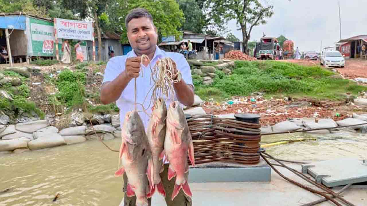 সংগৃহীত ছবি