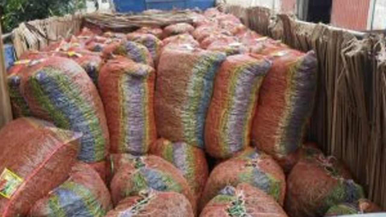 ফাইল ছবি