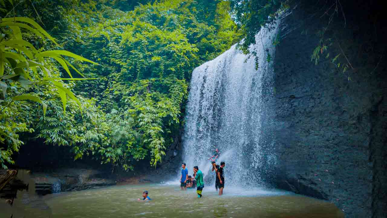 ফাইল ছবি