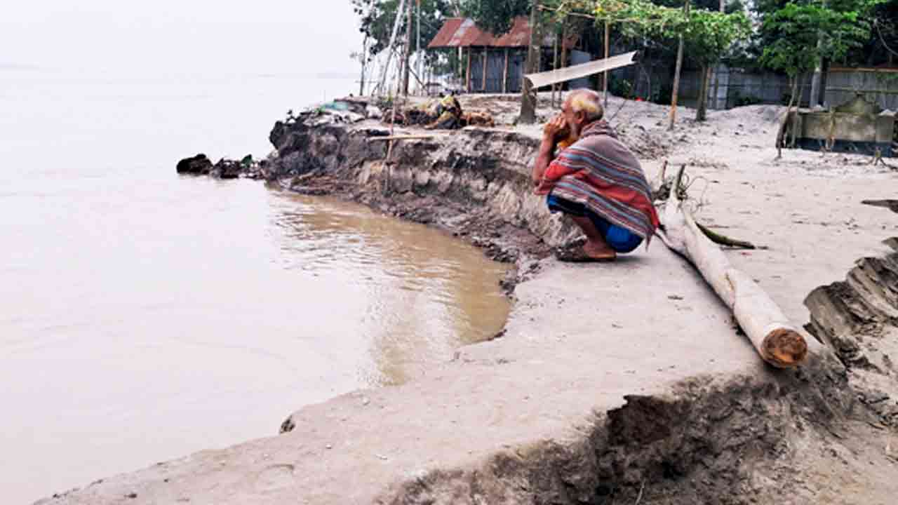 ছবি সংগৃহীত
