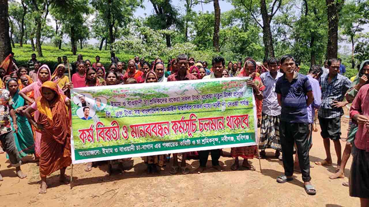 ছবি সংগৃহীত