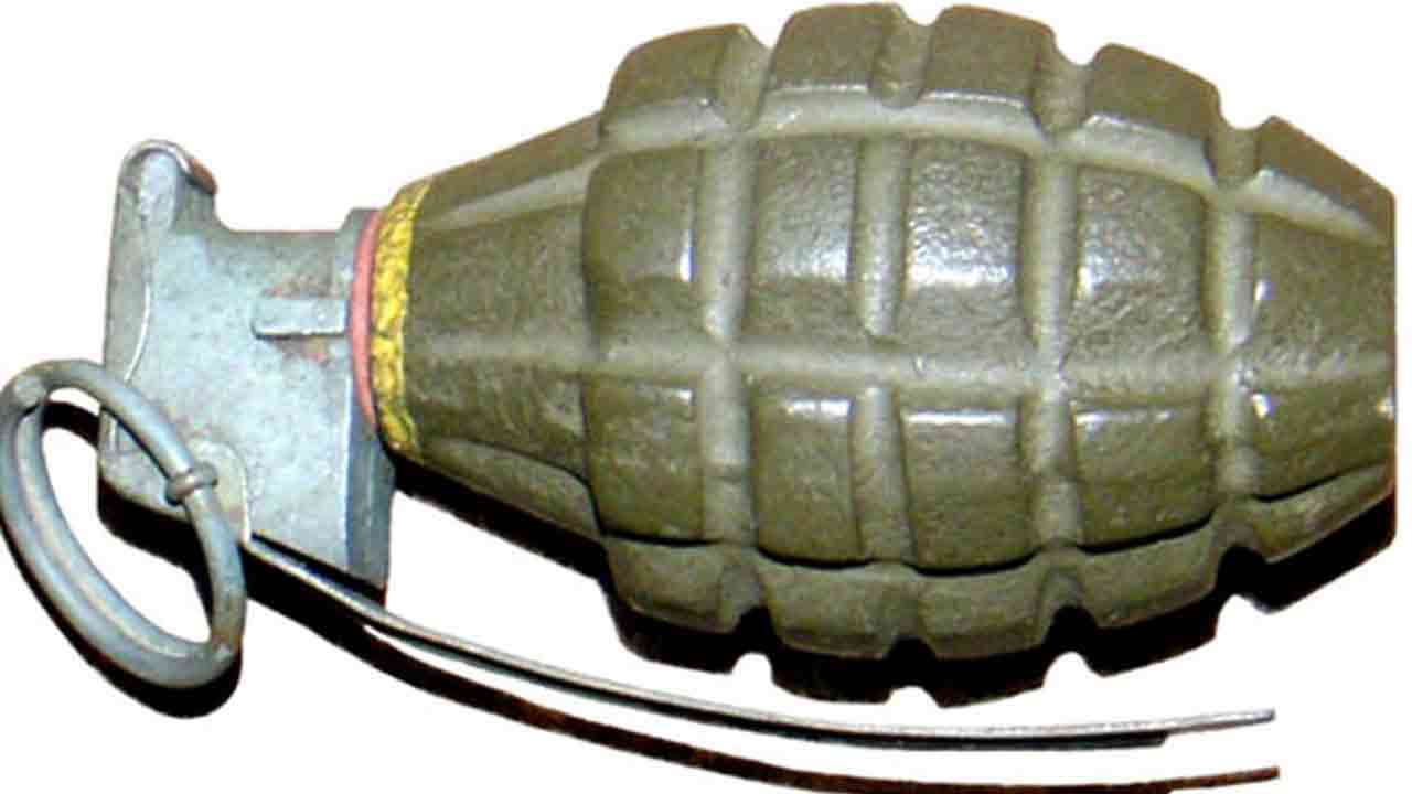 ফাইল ছবি