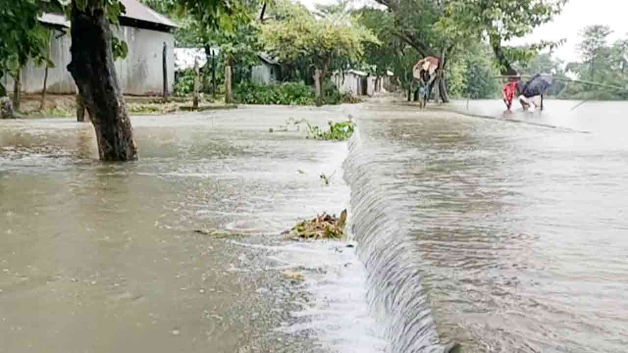 ফাইল ছবি