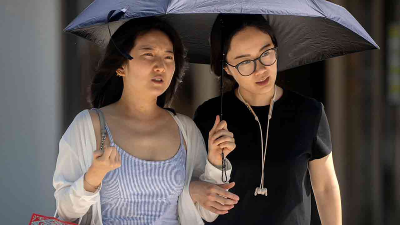 ছবি সংগৃহীত