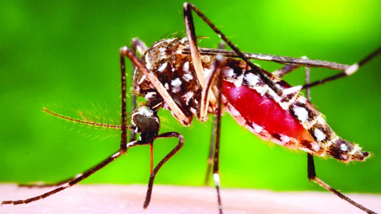 প্রতীকী ছবি