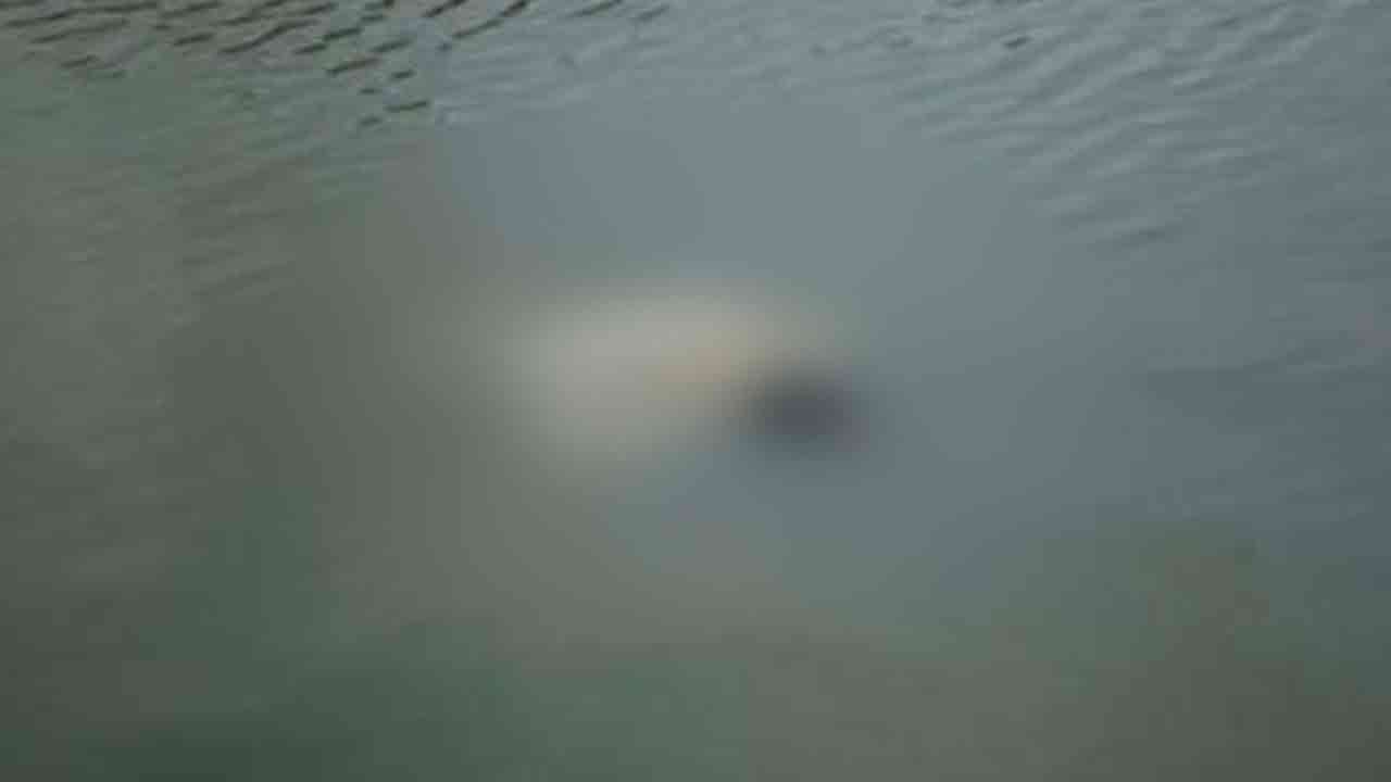 প্রতীকী ছবি