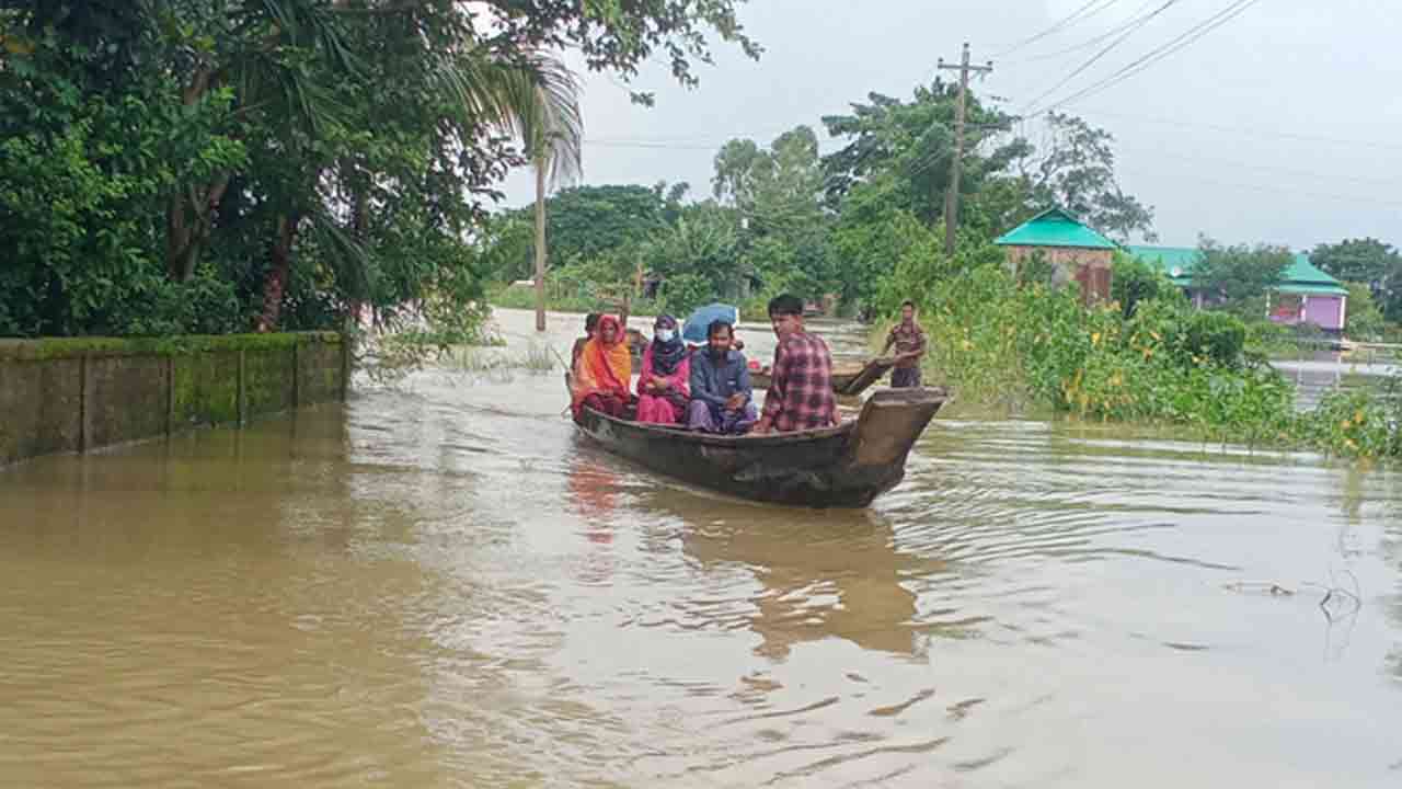 ফাইল ছবি