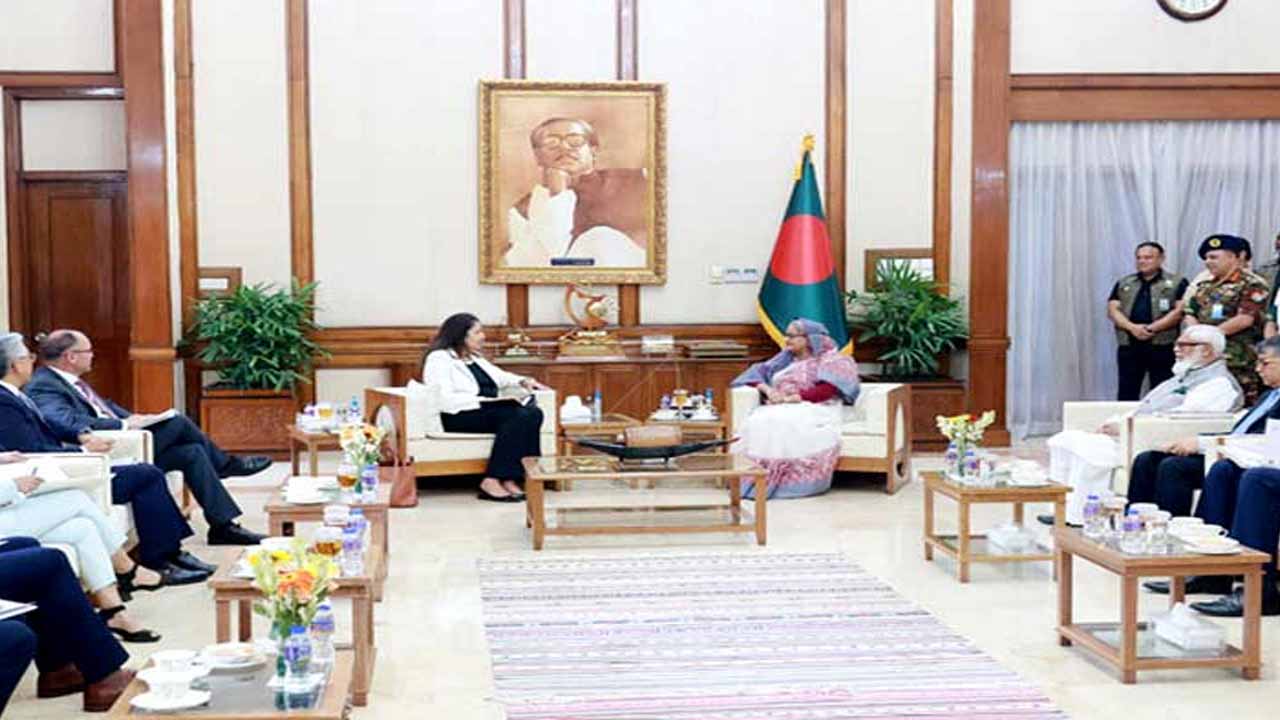 সংগৃহীত ছবি