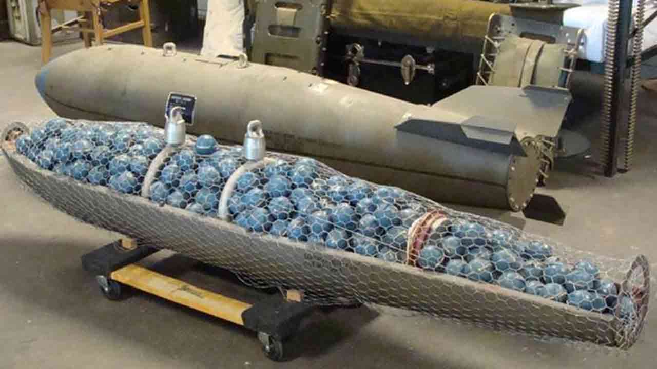 ছবি সংগৃহীত