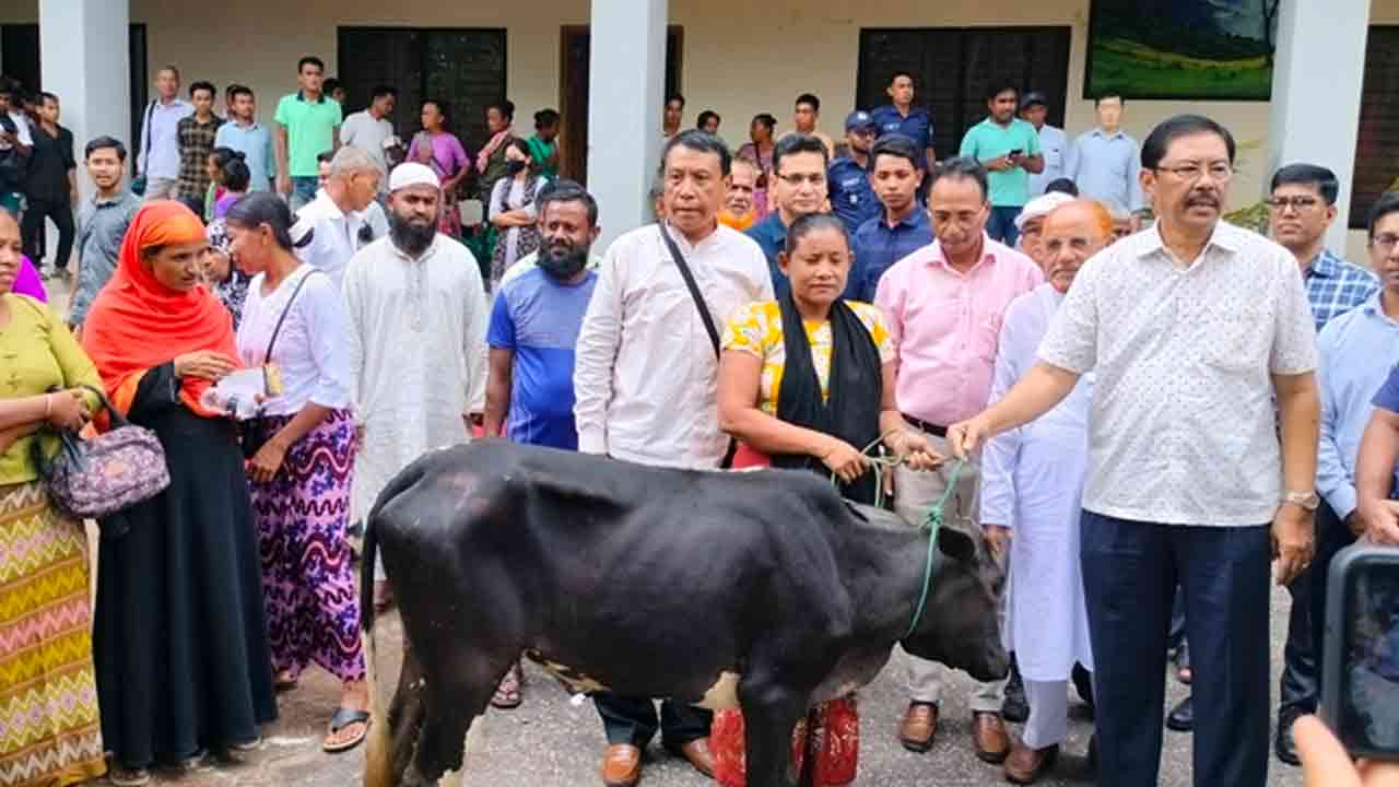 ফাইল ছবি