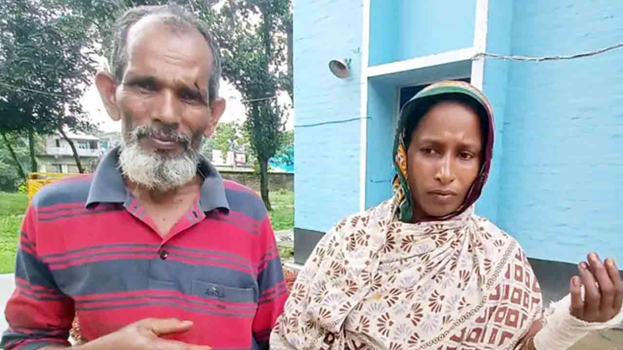 ফাইল ছবি