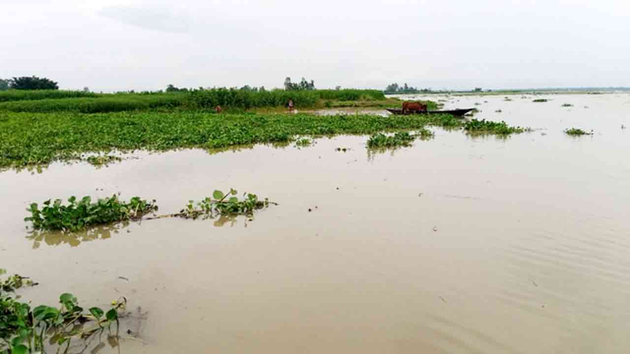 ফাইল ছবি