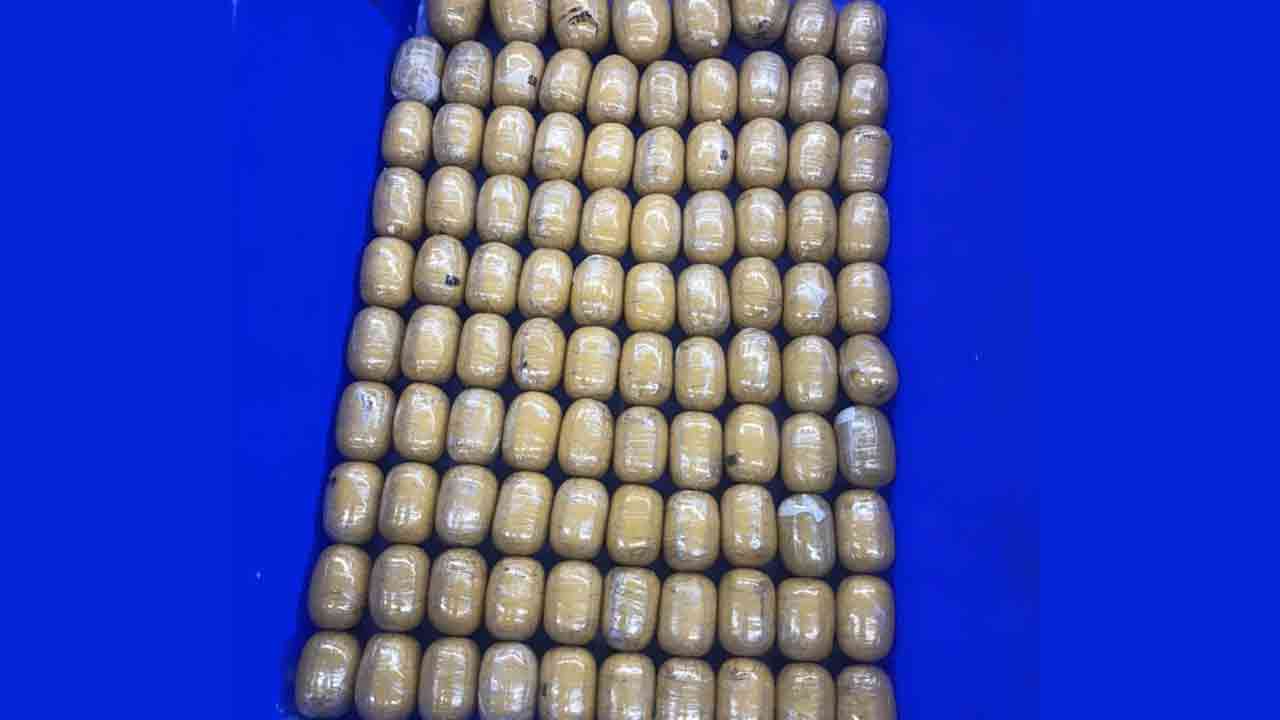 ফাইল ছবি