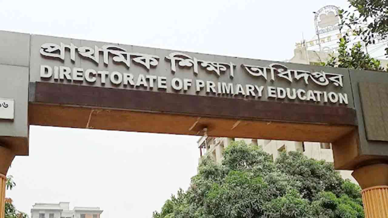 ফাইল ছবি