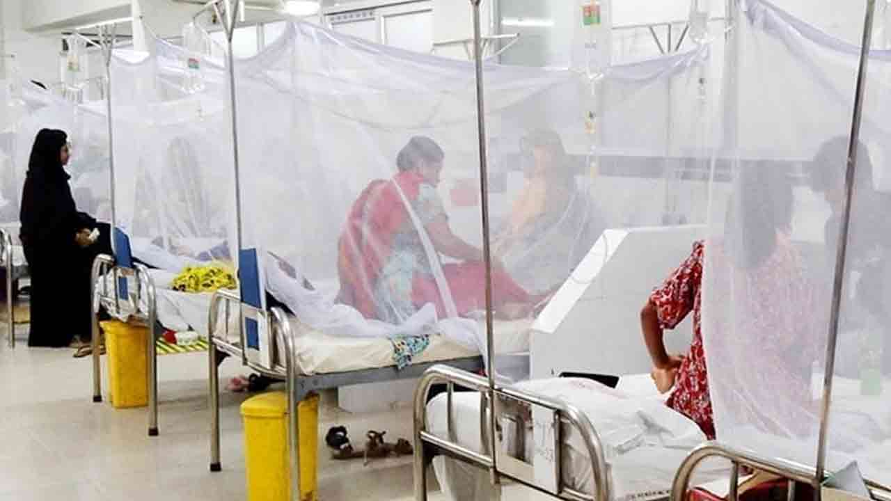 ডেঙ্গুতে মৃতের তালিকায় নারী বেশি  