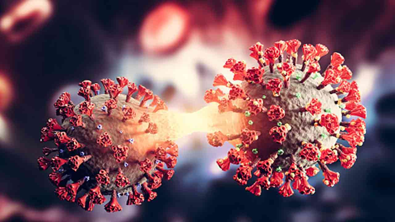 প্রতীকী ছবি