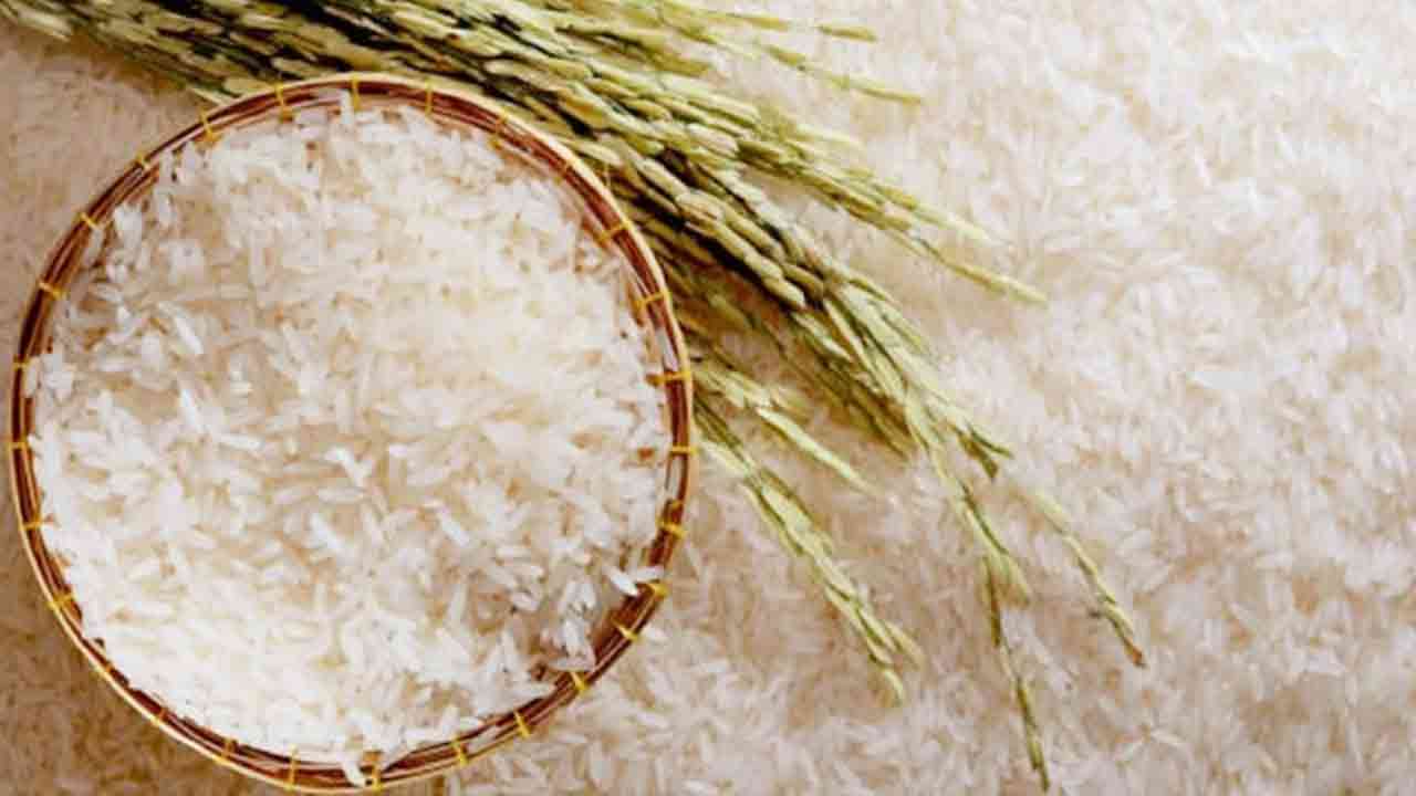 চাল রপ্তানিতে ভারতের নিষেধাজ্ঞা