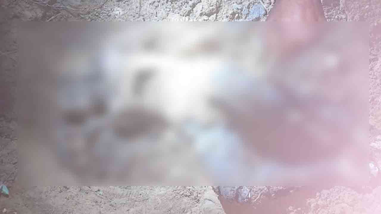 প্রতীকী ছবি