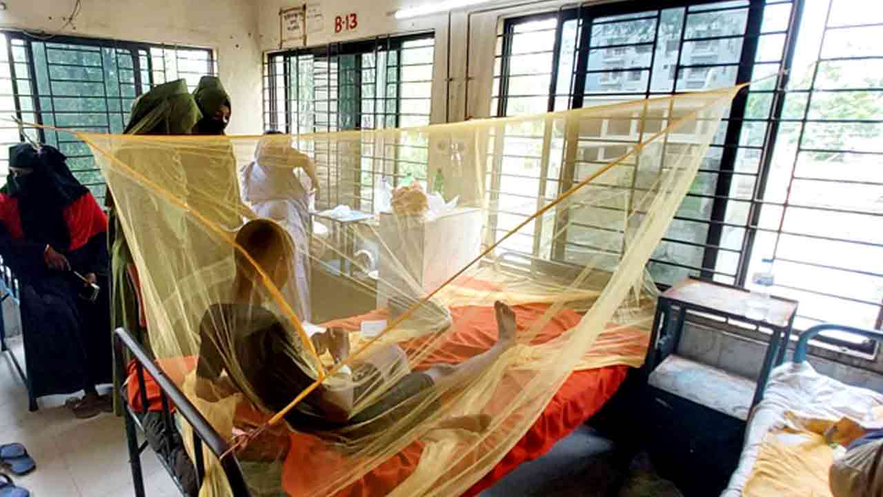 ফাইল ছবি