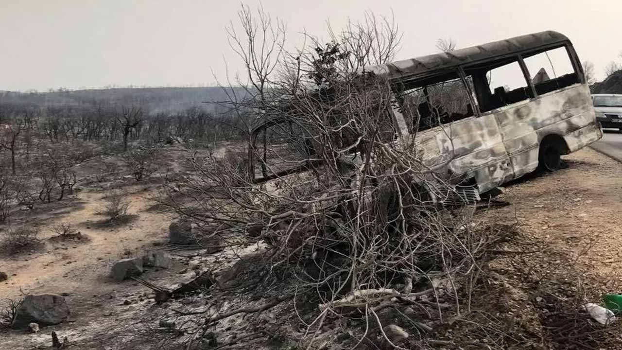 দাবানলে বনভূমির পাশাপাশি আবাসিক এলাকাও পুড়ে গেছে। ছবি: রয়টার্স