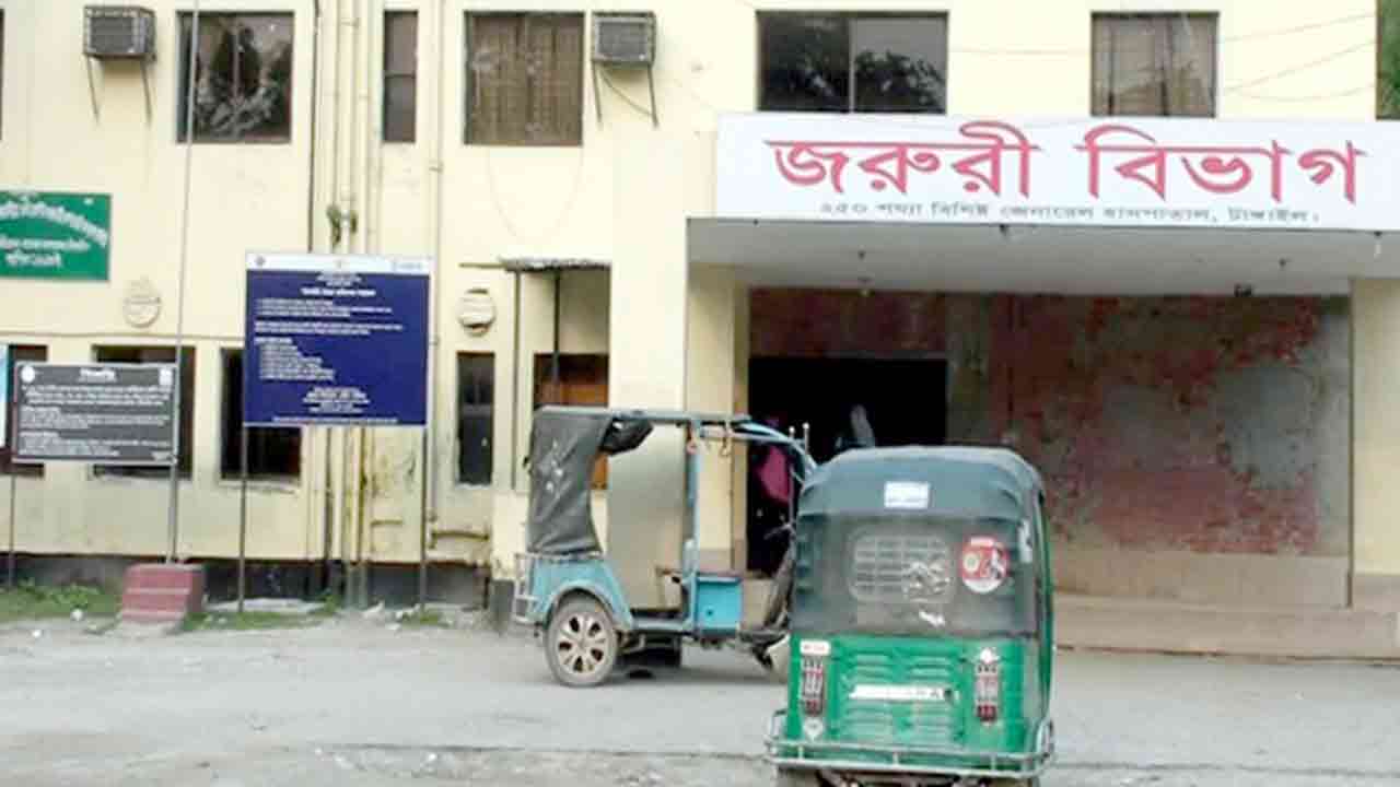 ফাইল ছবি